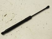 Front bonnet/hood damper/strut