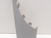 (C) pillar trim