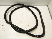 Front door rubber seal
