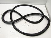Front door rubber seal