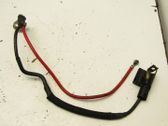 Wires (starter motor)