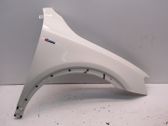 Fender