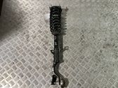 Front shock absorber with coil spring