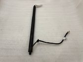 Tailgate/trunk strut/damper