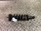 Front shock absorber with coil spring