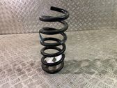 Rear coil spring