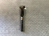 Rear shock absorber/damper