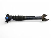 Rear shock absorber/damper