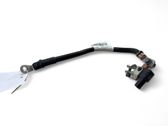 Negative earth cable (battery)