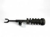 Front shock absorber with coil spring