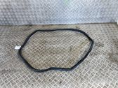 Rear door rubber seal (on body)