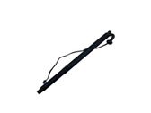 Tailgate/trunk strut/damper