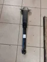 Rear shock absorber/damper