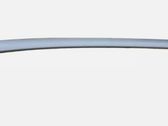 Other front door trim element