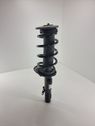 Front shock absorber with coil spring