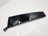 Rear door glass trim molding