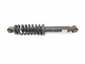 Rear shock absorber with coil spring