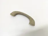 Front interior roof grab handle