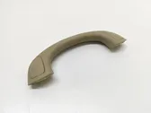 Front interior roof grab handle