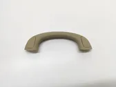 Front interior roof grab handle