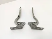 Engine bonnet/hood hinges