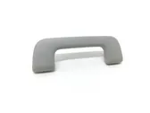 Front interior roof grab handle