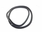 Rear door rubber seal (on body)