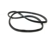 Rear door rubber seal (on body)