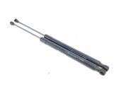 Tailgate/trunk strut/damper