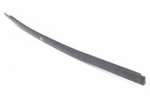 Front door glass trim molding