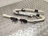 Roof airbag