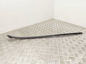Windshield trim