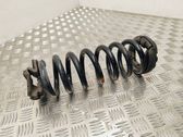 Rear coil spring