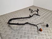 Wires (starter motor)