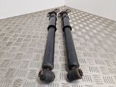 Rear shock absorber/damper