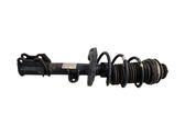 Front shock absorber with coil spring