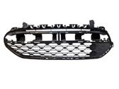 Front bumper upper radiator grill