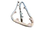 Roof airbag