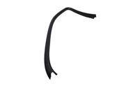 Front door glass trim molding