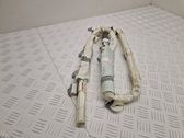 Airbag del techo