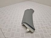 (C) pillar trim