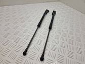 Tailgate/trunk strut/damper