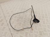 Radion antenni