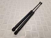 Tailgate/trunk strut/damper