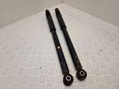 Rear shock absorber/damper