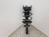 Front shock absorber with coil spring