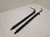 Tailgate/trunk strut/damper