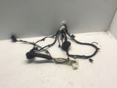 Front door wiring loom
