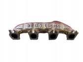 Exhaust manifold