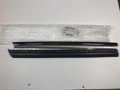 Rear door trim (molding)